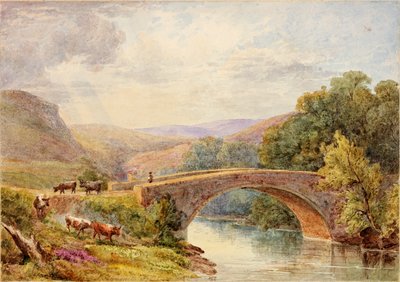 Ponte di Lewisburn, North Tyne da Julia Swinburne